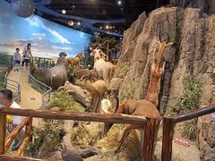 -陕西自然博物馆