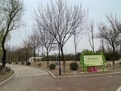 -太阳宫公园