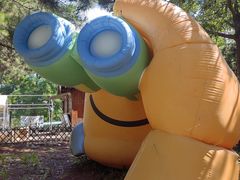 -北京西山国家森林公园