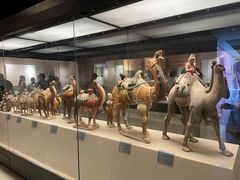 -西安大唐西市博物馆