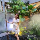 厦门植物氧吧|华美空间藏着一处热带雨林下午茶
