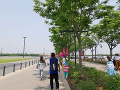 -迪士尼乐园停车场
