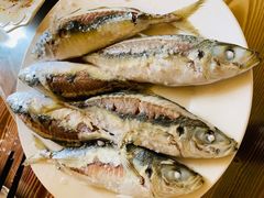 -陈岱后山窑鸡店