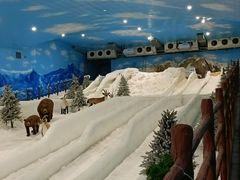 -世界之窗阿尔卑斯冰雪世界