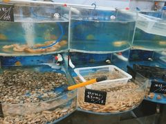 -鑫渔港海鲜本地菜·山海关浑锅(东戴河店)