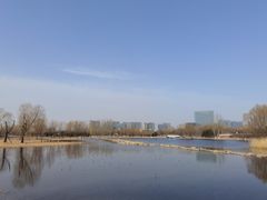 -大兴滨河森林公园