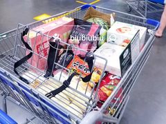 -山姆会员商店(亦庄创意生活广场店)