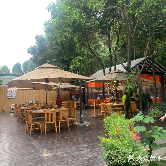 二荆条·蜀鲜汇城市森林火锅图片