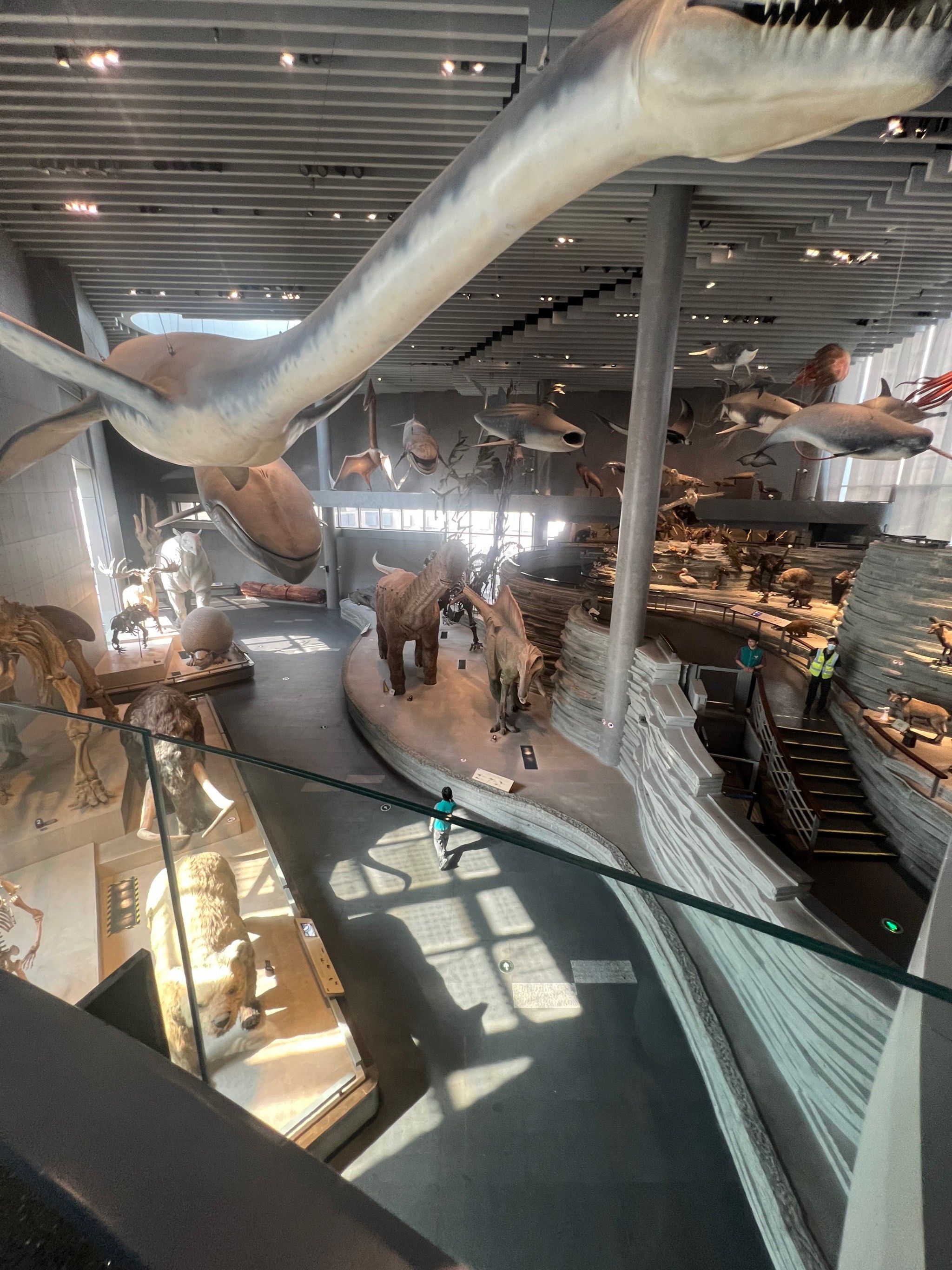 拔草自然博物馆,还挺好玩的!