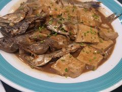 -船歌·鱼水饺青岛菜(合肥路永旺店)