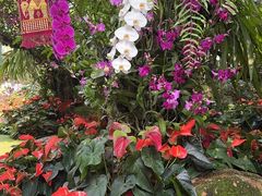 -Chom Cafe and Restaurant