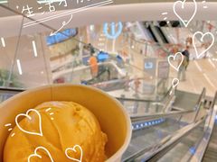 -LUNEURS月乐诗·法式冰淇淋(环贸店)