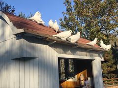 -南宫五洲植物乐园