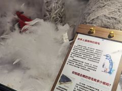 -重庆欢乐海底世界