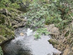 -石台牯牛降景区