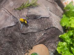 -千牛将·鲜牛肉火锅(开元路店)