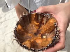 -塞尔夫岛