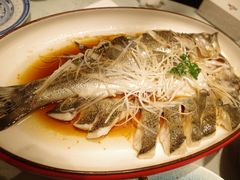 -鲁菜根·泰山菜(泰山店)