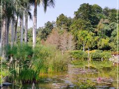 -中国科学院西双版纳热带植物园