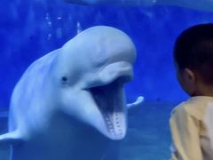 -蓬莱欧乐堡海洋极地世界
