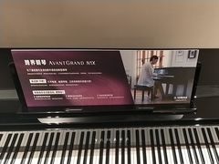 -雅歌音乐培训中心·钢琴培训·乐器培训(交道口店)