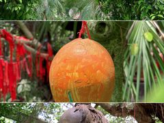 -呀路古热带植物园