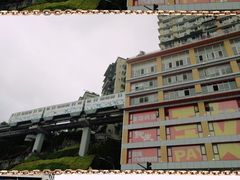-杨记隆府(南坪店)