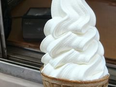 -富豪雪糕车流动点(尖沙咀)