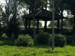 -丁香湖公园