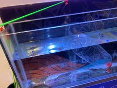 -桥东喜碧海鲜街(水东街店)