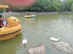 -莲湖公园