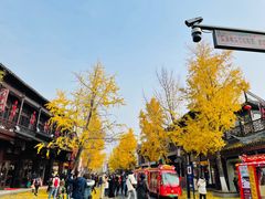 -奇芳阁·百年清真南京菜(夫子庙店)