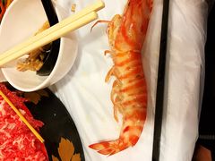 -鲜入围煮花胶鸡海鲜火锅