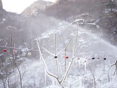 -黑龙潭风景区