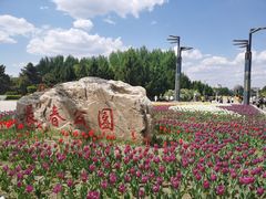 -长春公园(普阳街道)