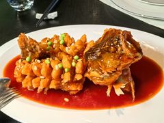 -RIVIERA 松鹤楼(外滩店)