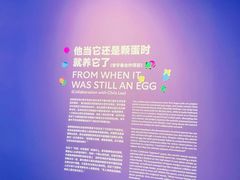 -上海宝龙美术馆
