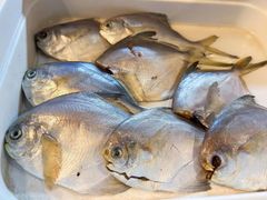 -相约海中金海鲜肥牛自助烤肉火锅(上下九店)