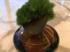 餐具摆设-广州四季酒店·意珍·意式自助餐