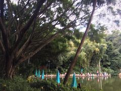 -人民公园(罗湖区)