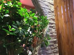 -川道拐耗儿鱼(置信路店)