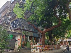 -樹下遇见树·咖啡