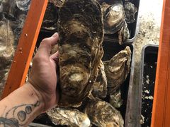 -土蚝·高压锅生蚝(百姓美食街店)