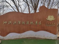 -泗洪洪泽湖湿地景区