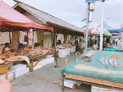 -金山嘴渔村