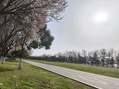 -汉长安城未央宫国家考古遗址公园