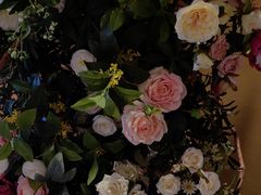 -LE SHARE洛笙·花园西餐(北京路步行街店)