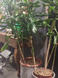 -影博莎美容美发形象设计中心