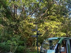 -深圳国际园林花卉博览园