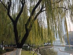 -天鹅湖体育公园